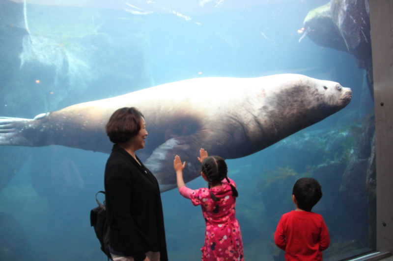 Alaska Sealife Center