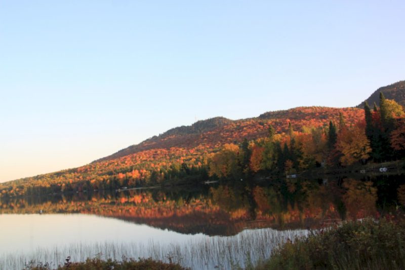 Lake view in the national park