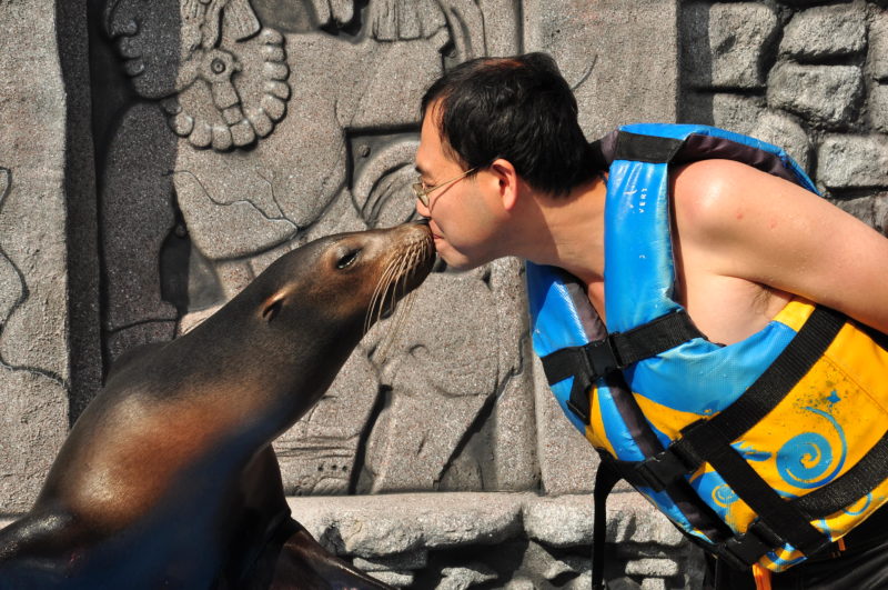 Chankanaab Park - Sea Lion