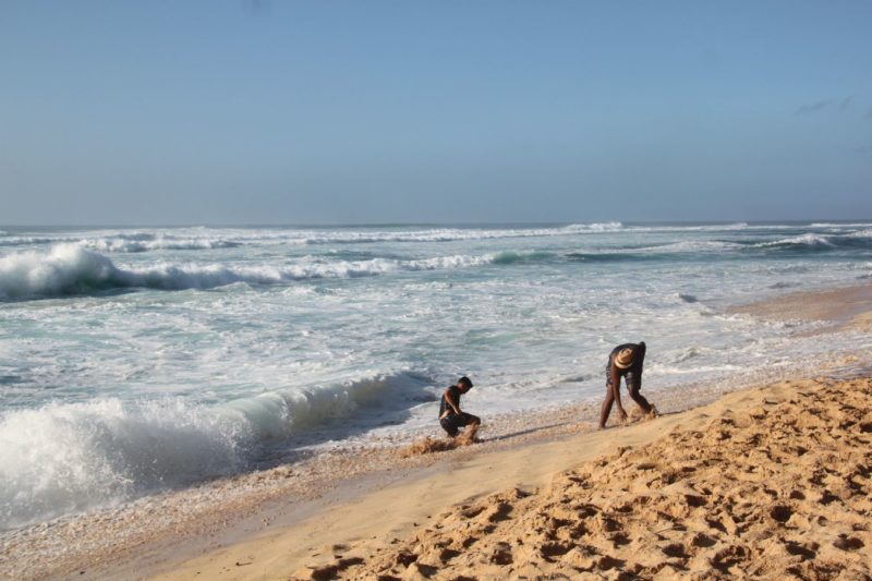 North Shore wave in bad mood