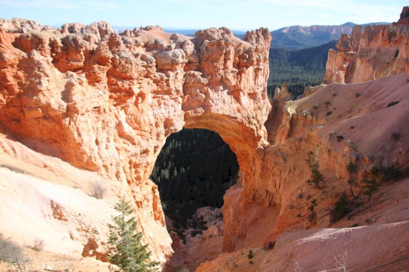 Natural Bridge