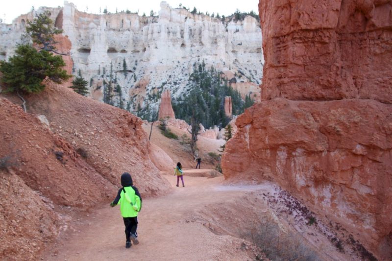 Bryce Point Trail