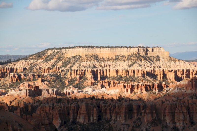 Bryce Point View