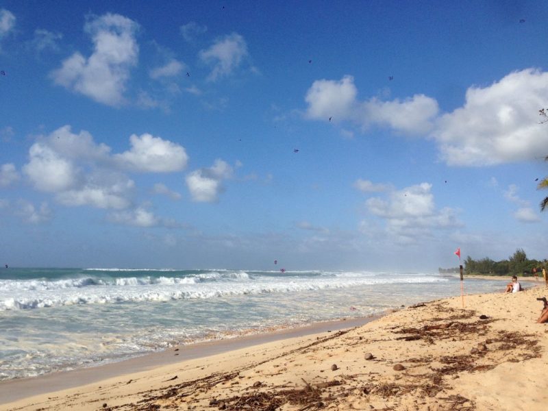 North Shore wave in good mood