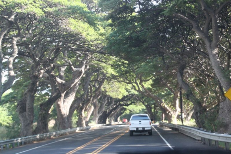 Nice drive on west Maui