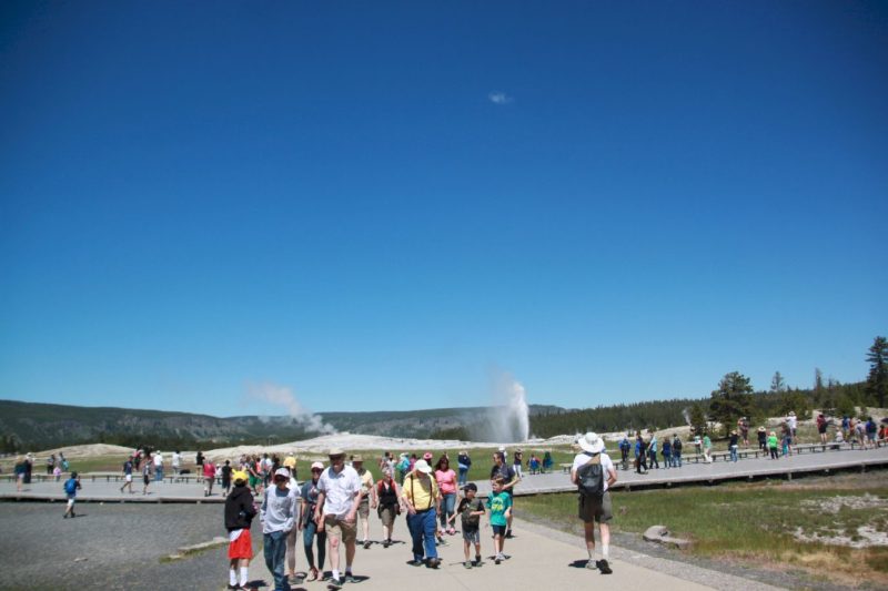 Bee Hive Geyser erupts at far behind Old Faithful Geyser