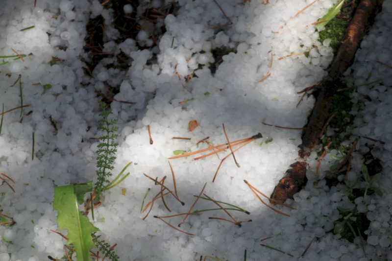 Big Hail 