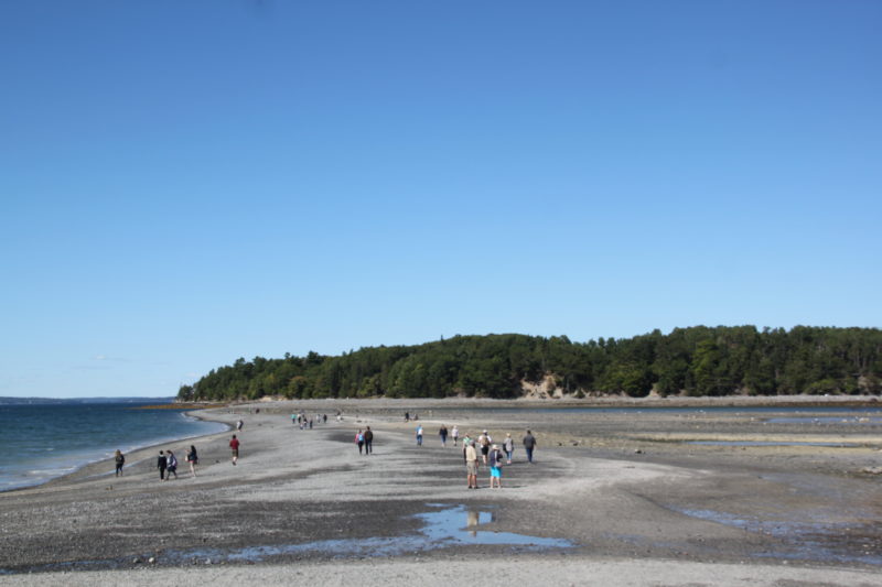 Bar Island Path